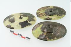 Foto von Bronzephalere (NHMW-PRAE-003459)